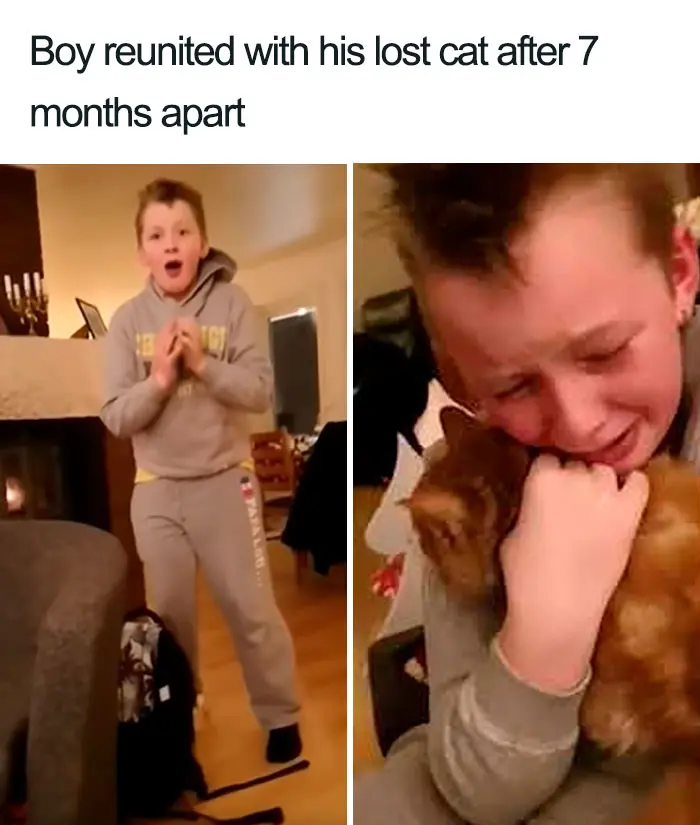 boy reunited with lost cat wholesome cat posts