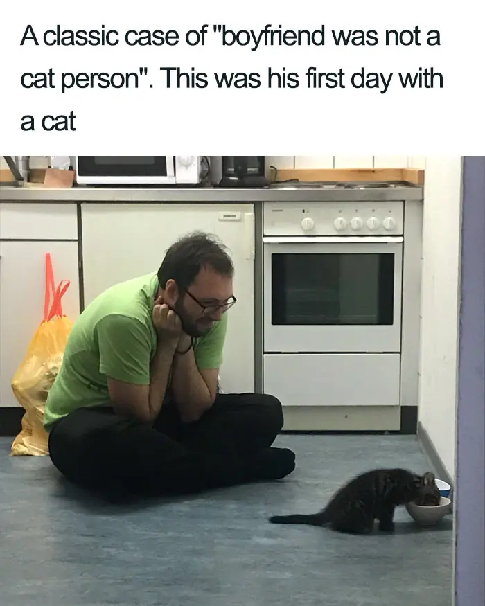 boyfriend not a cat person before wholesome cat posts