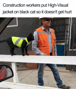 People Share Adorable Cat Posts That Will Make You Feel Good Inside