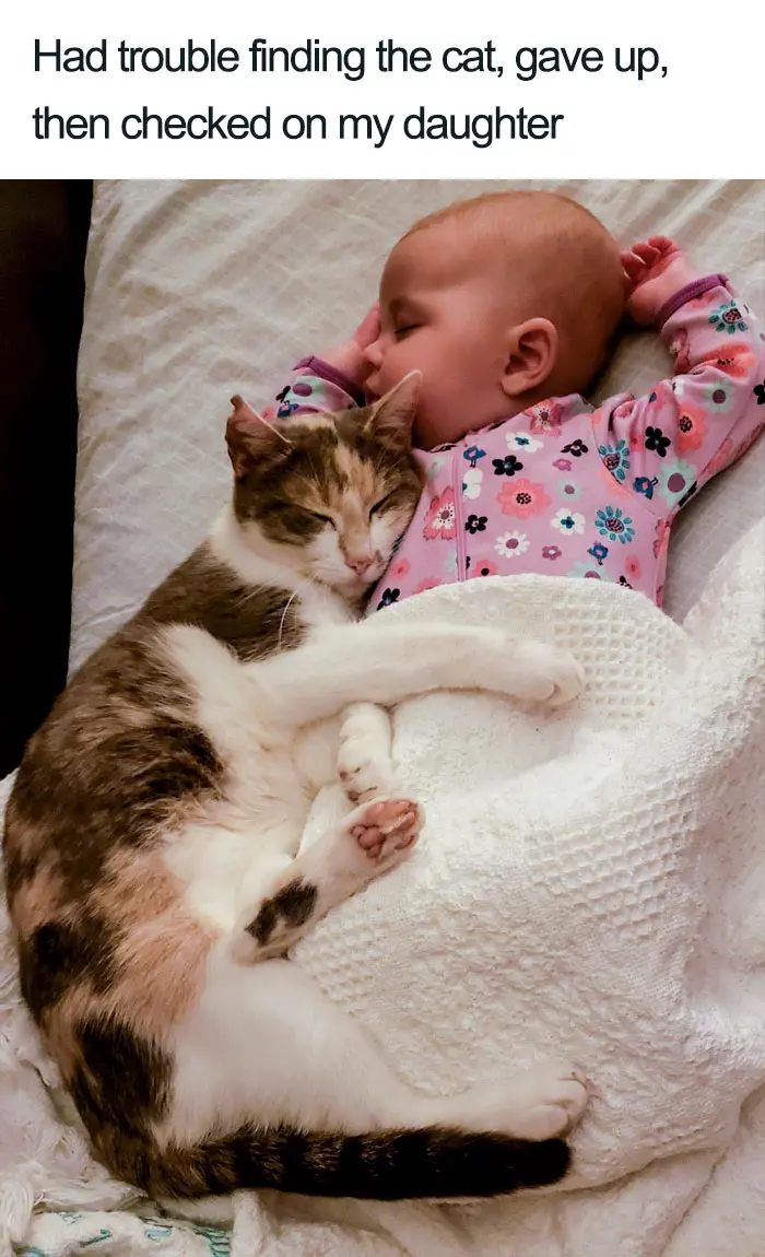 cat with daughter baby wholesome cat posts