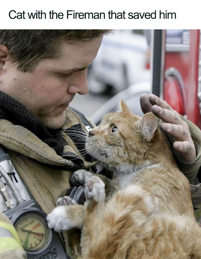 cat with the fireman that saved him wholesome cat posts