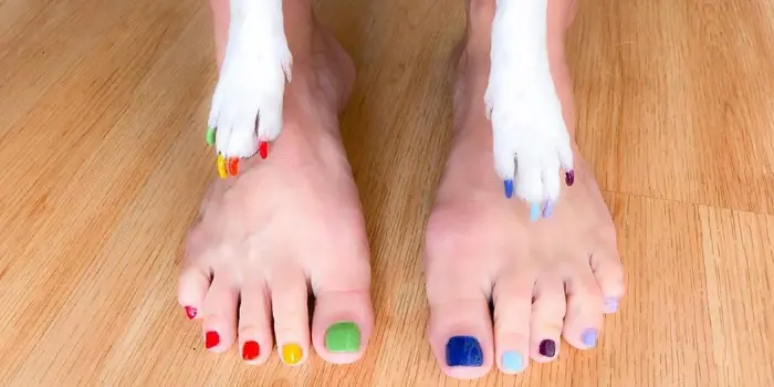 People And Their Dogs Are Getting Matching Pedicures