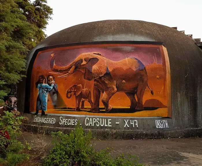 elephant capsule graffiti object transformations bus artist odeith