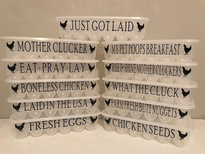 etsy hilarious egg cartons silly phrases