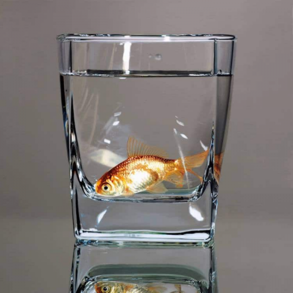 Artist Young Sung Kim Creates Realistic Oil Paintings Of Fish Trapped ...