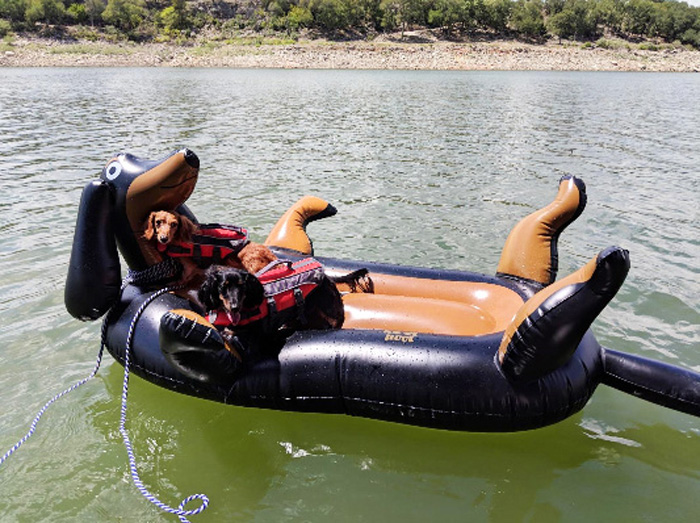 giant sausage dog pool float lake