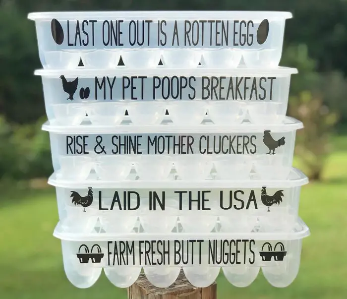 hilarious egg cartons etsy personalized decals