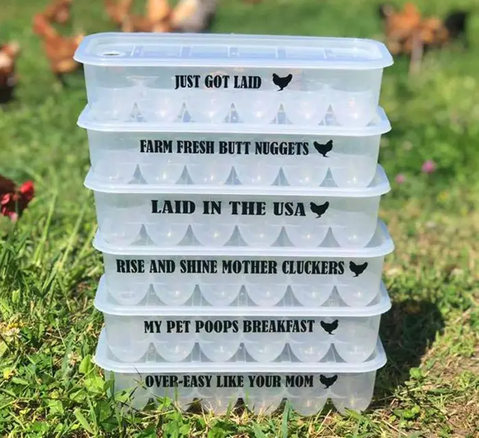 Make Great Unique Gifts Plastic and Reusable Funny Egg Cartons