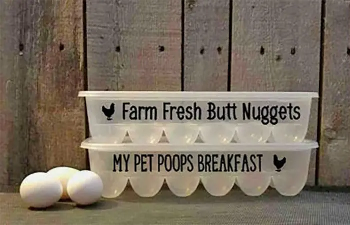 Customizable Plastic Egg Carton with Vinyl Phrases and Sayings 