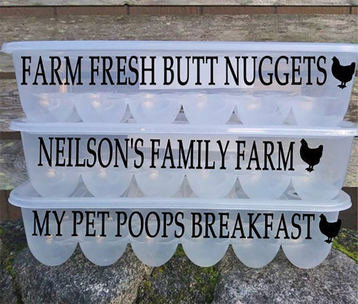 hilarious egg cartons silly phrases