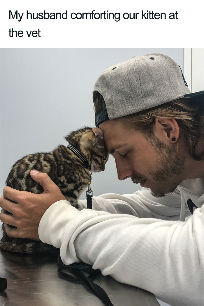 husband comforting kitten at vet wholesome cat posts