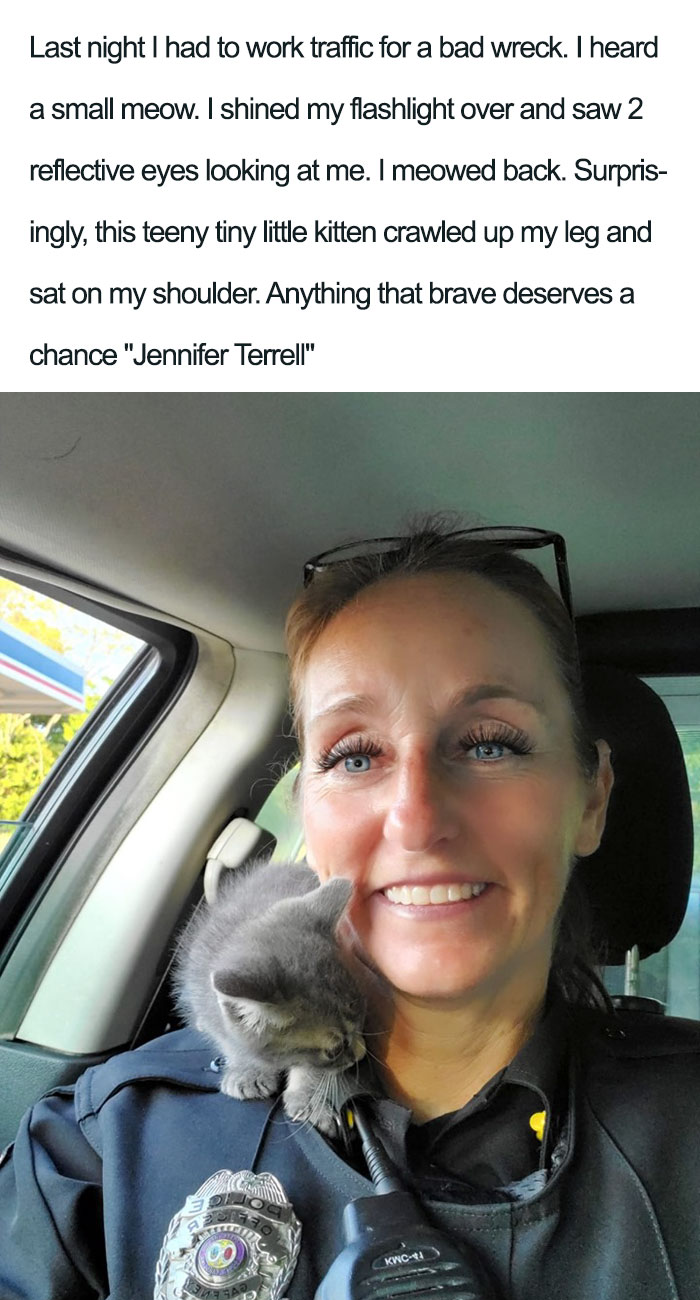 kitten found by woman at night wholesome cat posts
