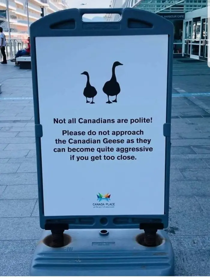 not everyone is polite funny meanwhile in canada pictures