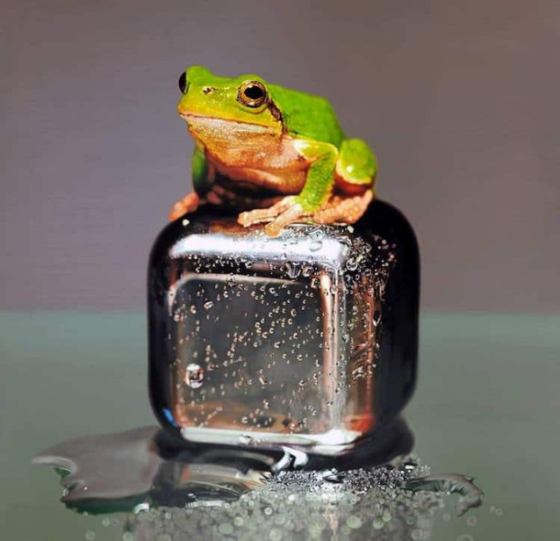 Artist Young Sung Kim Creates Realistic Oil Paintings Of Fish Trapped ...