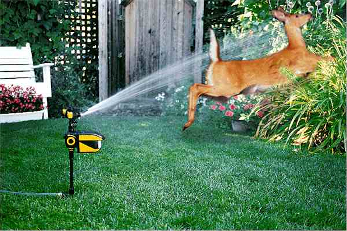 scarecrow motion activated sprinkler animal deterrent