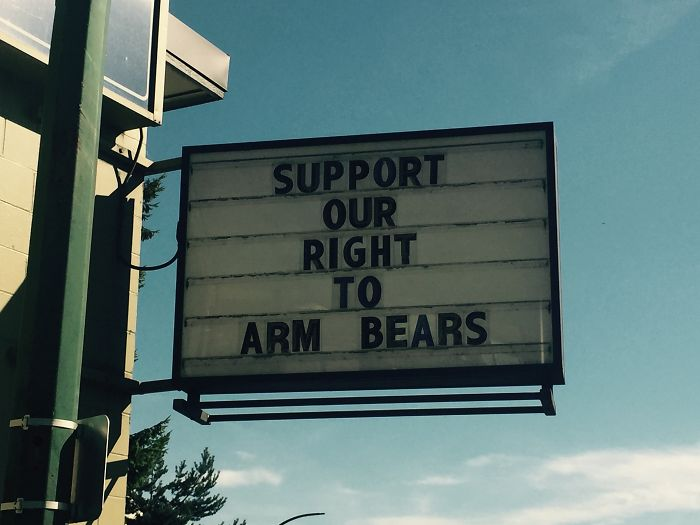 support our right to arm bears funny meanwhile in canada pictures