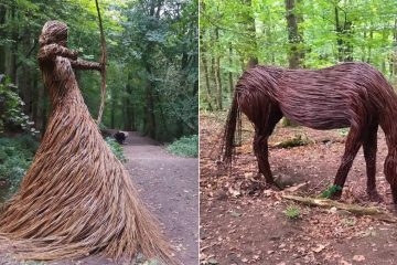 willow sculptures