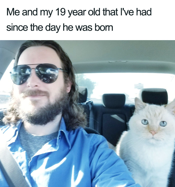 with 19 year old wholesome cat posts