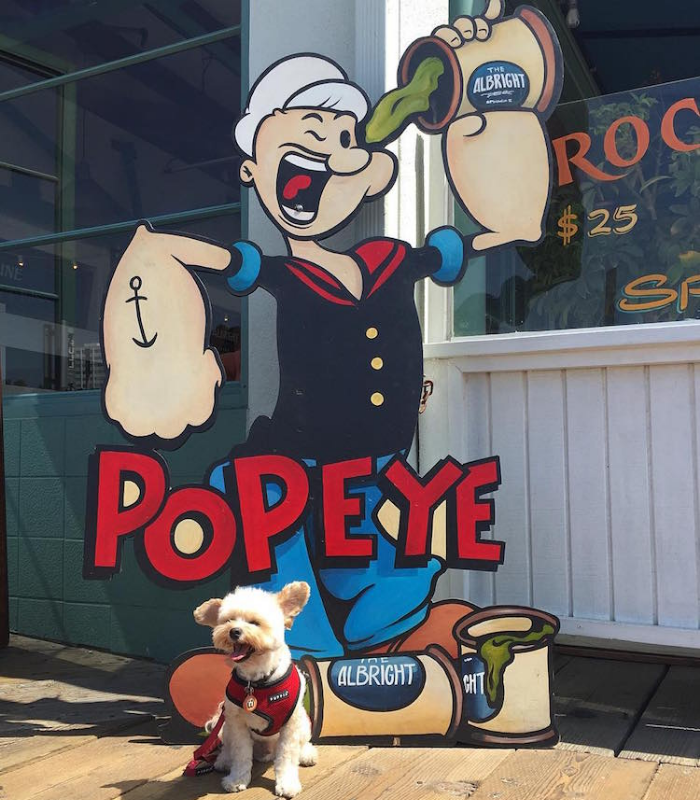 with popeye statue popeye the foodie dog