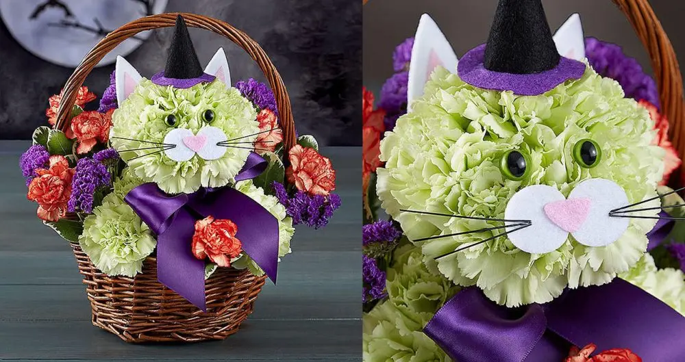 Cat Bouquets