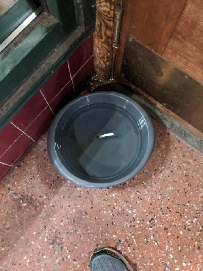 bad customers cigarette butt dog dish