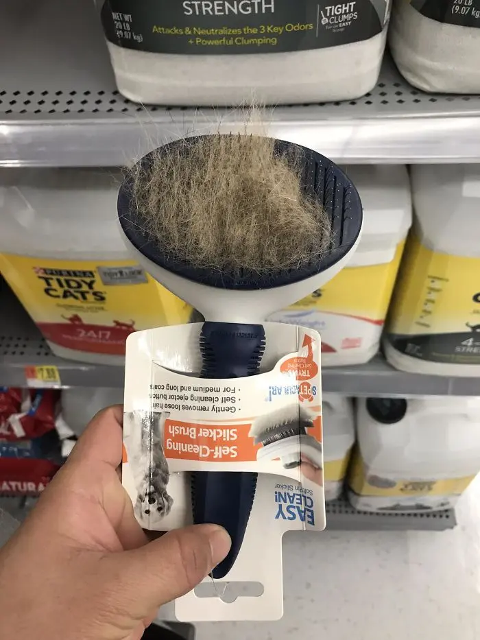 bad customers dog brush