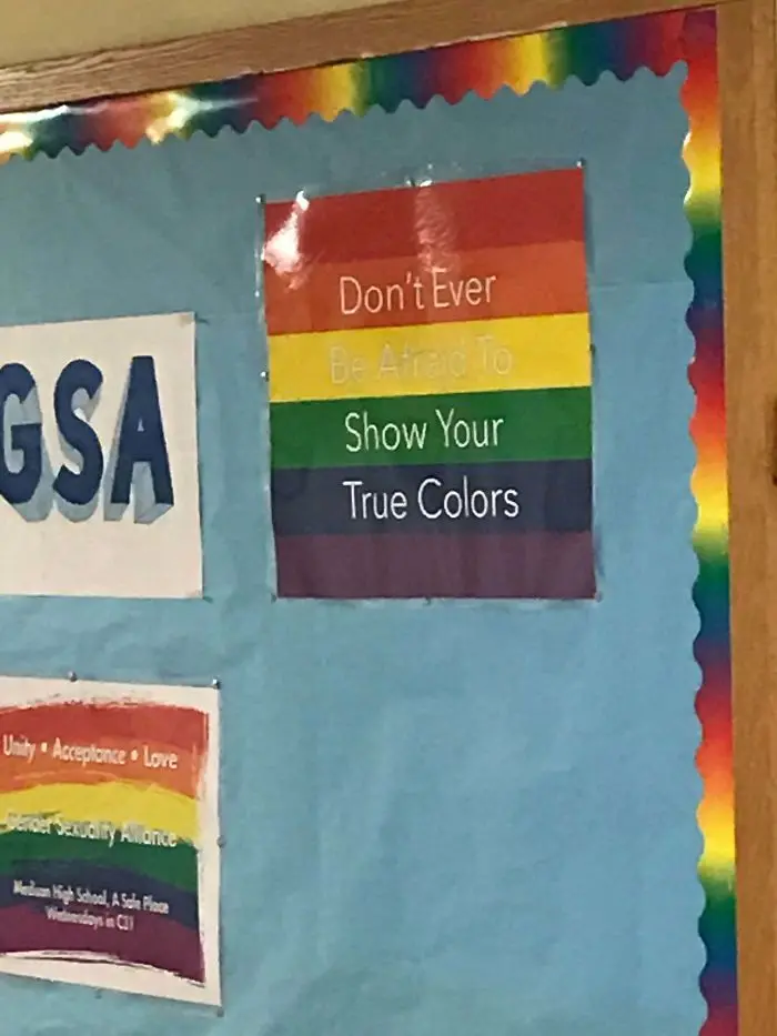 bad school designs true colors message