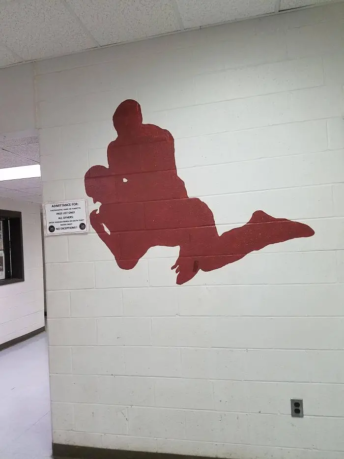 bad school designs wrestling wall paint