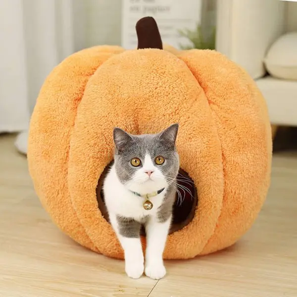 Go All Out For Your Kitty This Halloween With A Pumpkin Cat Bed