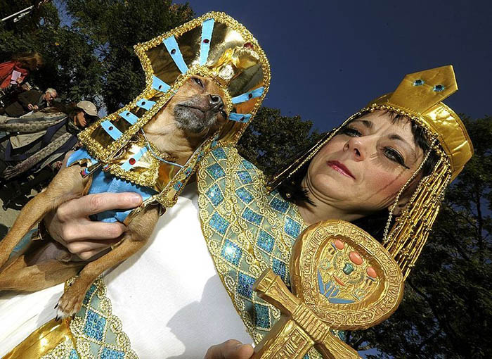 Cleopatra Dog Costume