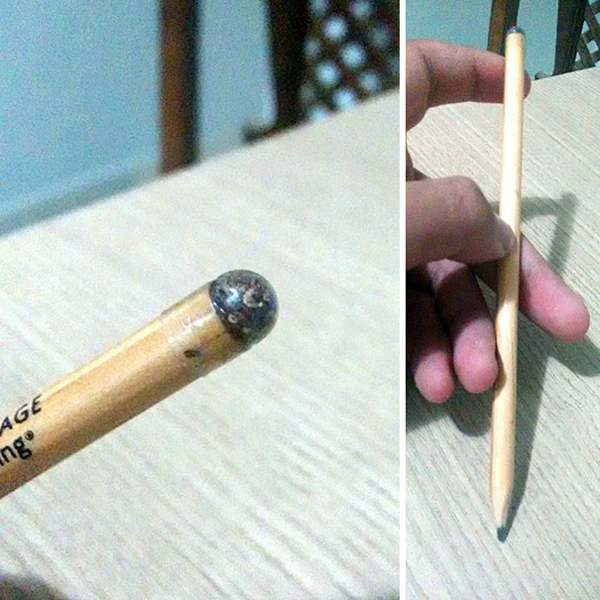 clever eco-friendly ideas pencil tip seeds