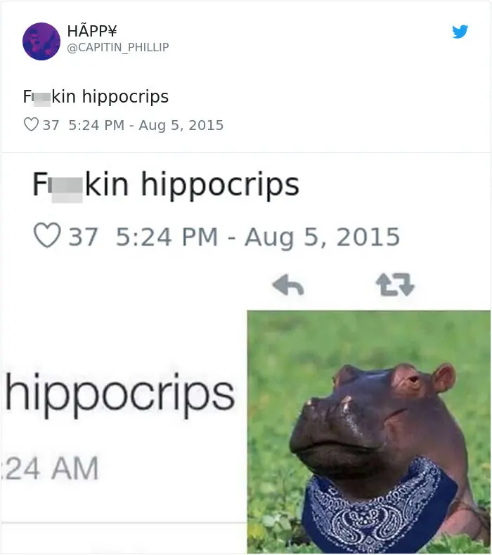 funny mispronouncing words hippocrips