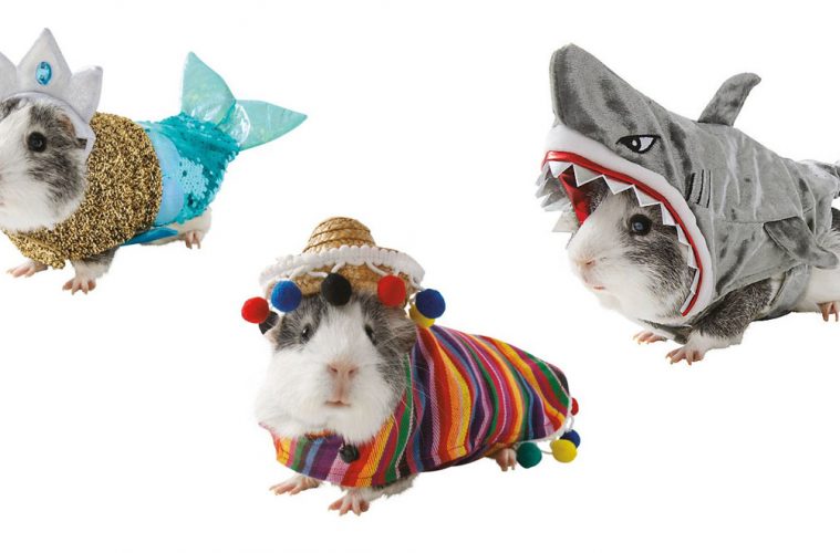 guinea pig costumes