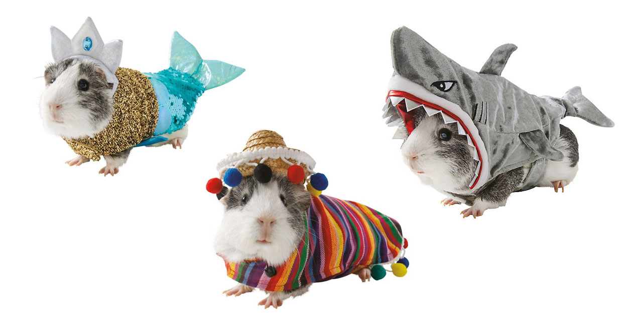 guinea pig costumes
