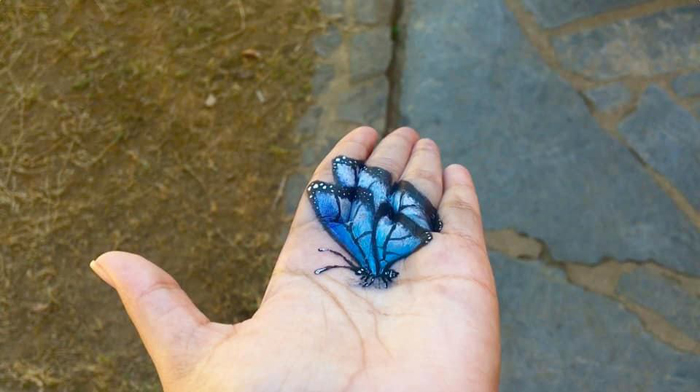 iantha naicker 3d hand paintings blue butterfly