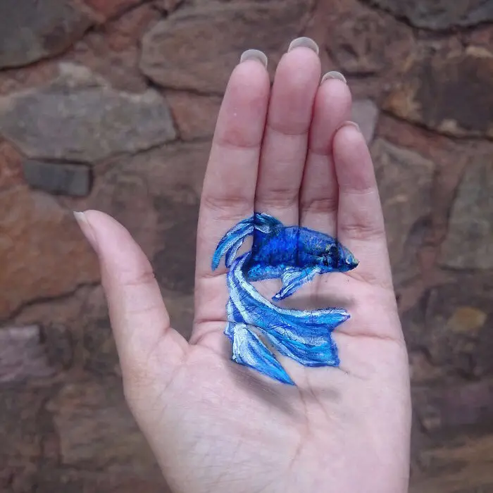 iantha naicker 3d hand paintings blue fish