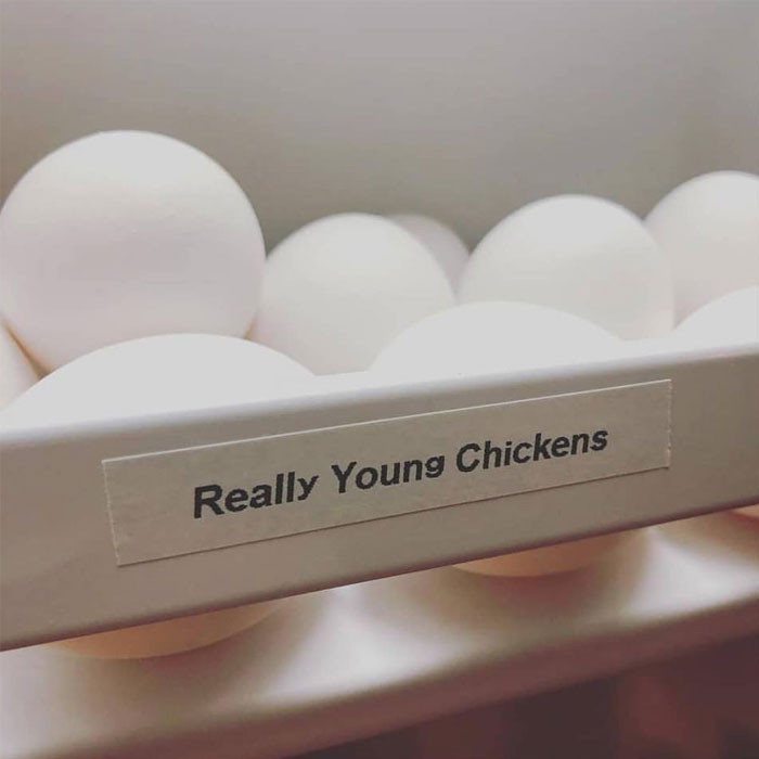 really young chickens sister label maker wedding gift