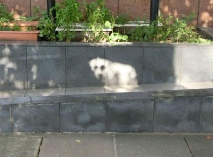 shadow optical illusions sundog