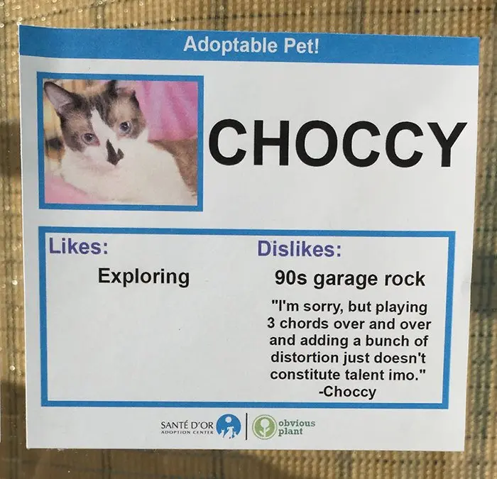 Pet Card Choccy