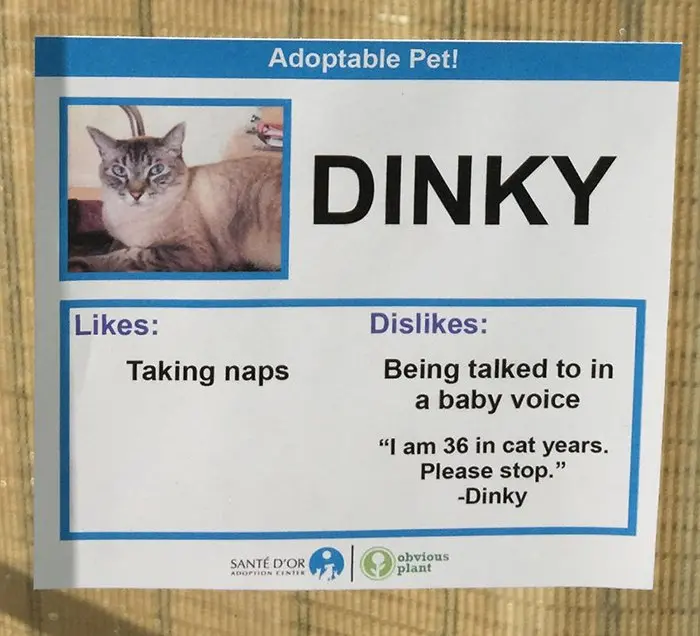 Pet Card Dinky