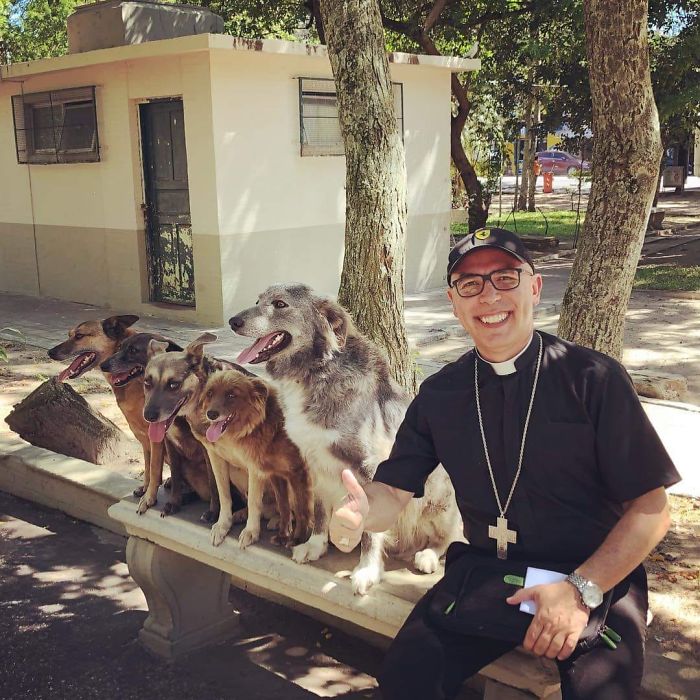 Bishop Dom Ricardo Hoepers Sitting on Bench with Five Stray Dogs