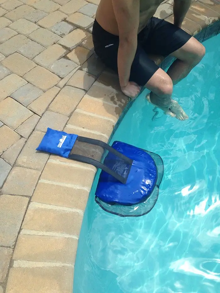 Blue Exit Ramp for Frogs on Pool