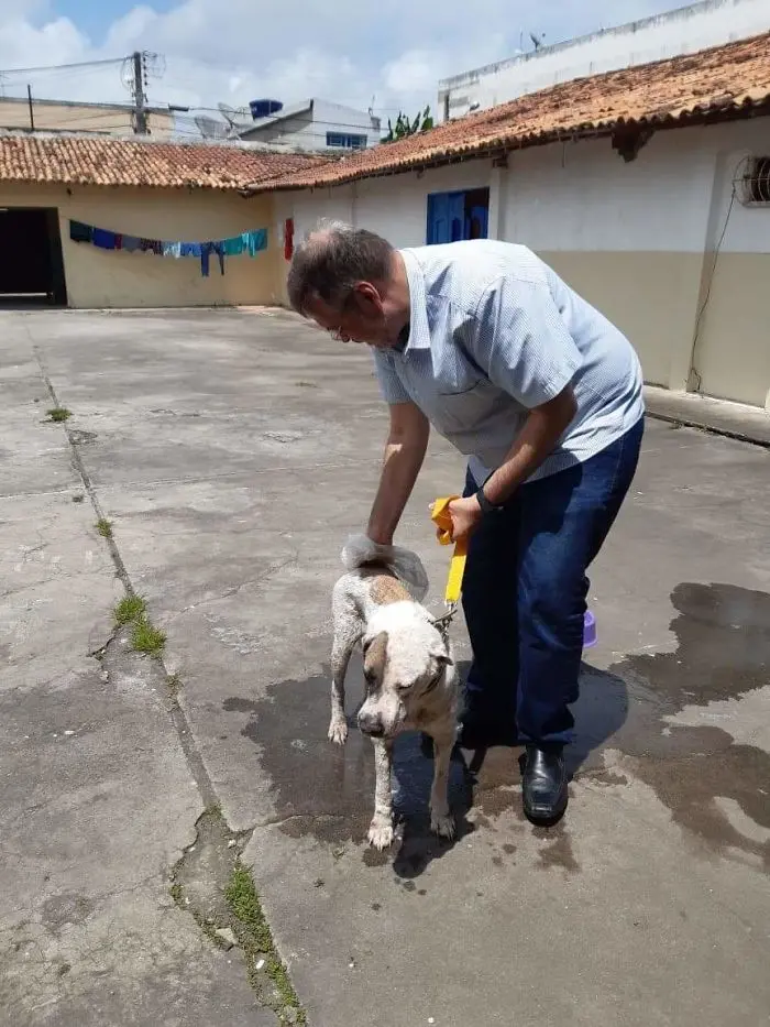 Father João Paulo Araujo Gomes Petting a Stray Dog on a Leash