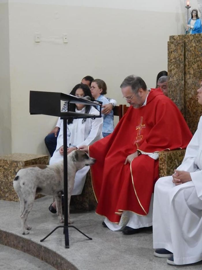 Father João Paulo Araujo Gomes Petting a Stray Dog