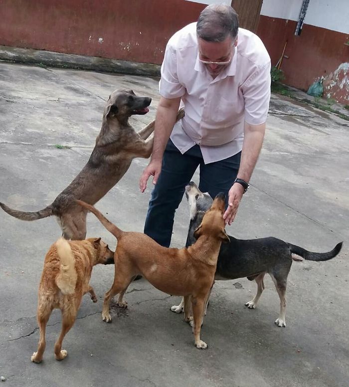 Father João Paulo Araujo Gomes Playing with Four Stray Dogs