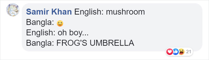 Funny Translation for Mushroom in Bangla