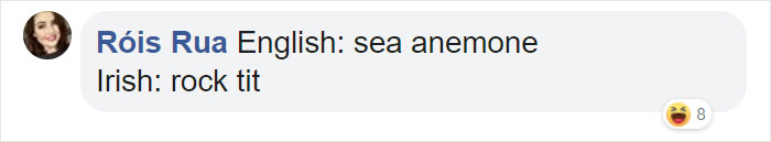 Funny Translation for Sea Anemone in Irish