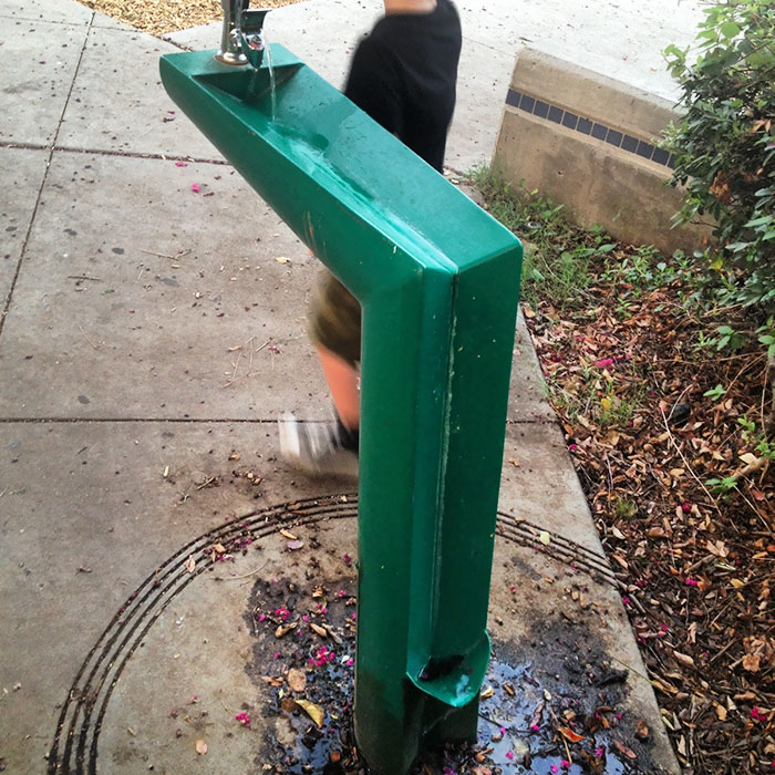 Green Drinking Fountain with a Section for Dogs