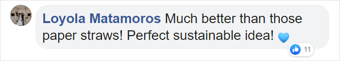 Loyola Matamoros Facebook Comment
