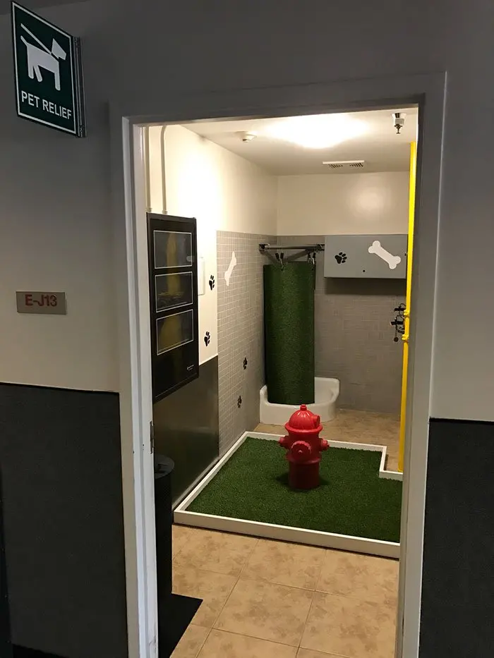 Pet Relief Area at an Airport